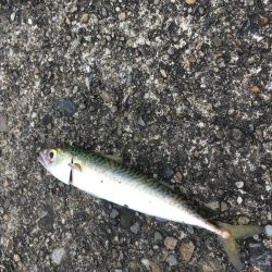 ライトゲームで4目